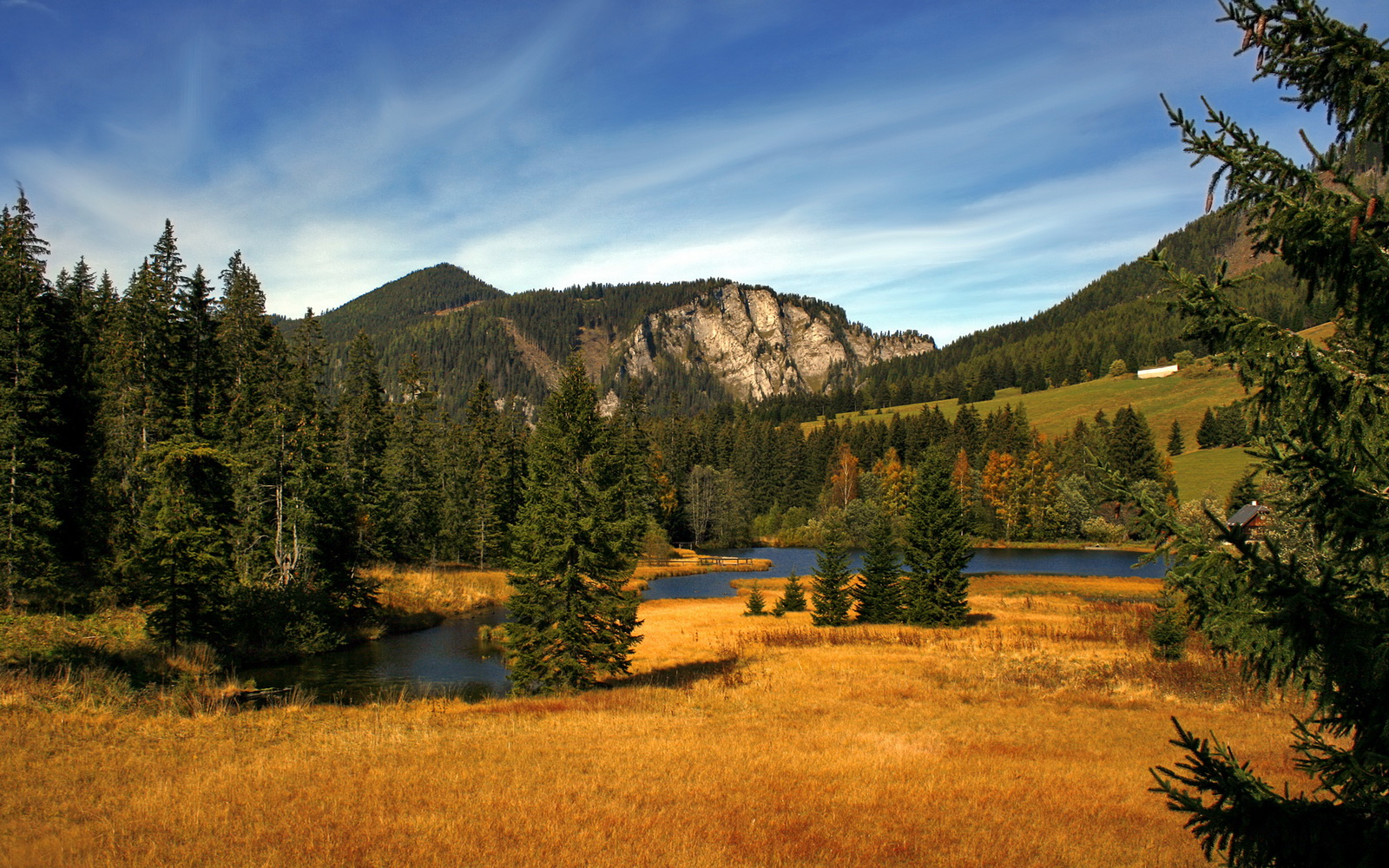 _全民健身月：多彩主题运动持续火热_，2020全民健身主题