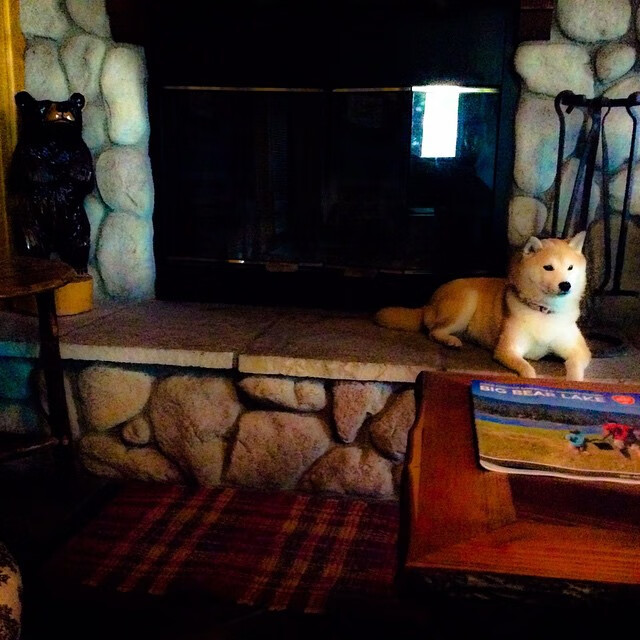 凯尔特人“新核”塔图姆，被期待成为联盟超级巨星！，塔图姆22+8迎里程碑 凯尔特人6人得分