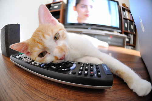 电竞达人培训营：挖掘未来的行业明星，电竞人培训基地