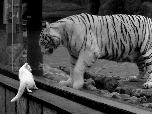 开云体育博彩-国足新赛季备战计划详解，国足比赛计划