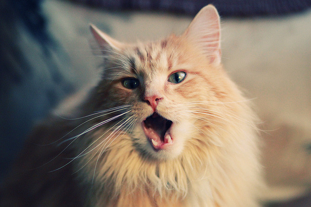 巴黎圣日耳曼客场逆袭，晋级下一轮，巴黎圣日耳曼比赛集锦