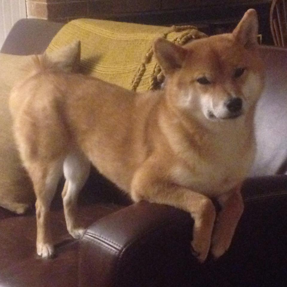 巴黎圣日耳曼客场逆袭，晋级下一轮，巴黎圣日耳曼比赛集锦