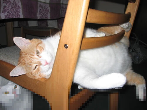 拜仁慕尼黑主场1-1战平门兴格拉德巴赫，错失三分，拜仁慕尼黑2022