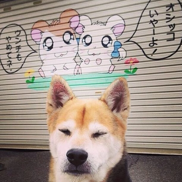 世界青少年跳绳锦标赛再添多项纪录，青少年跳绳大赛