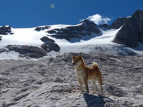 篮球专项技能动作标准化训练与教学方法创新，篮球动作技能理论知识