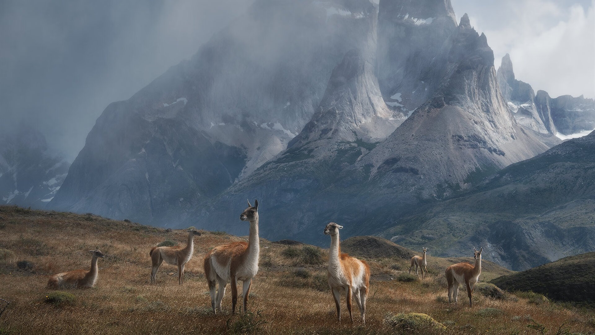 中国男篮强化篮板争夺积极二次进攻，中国男篮规划