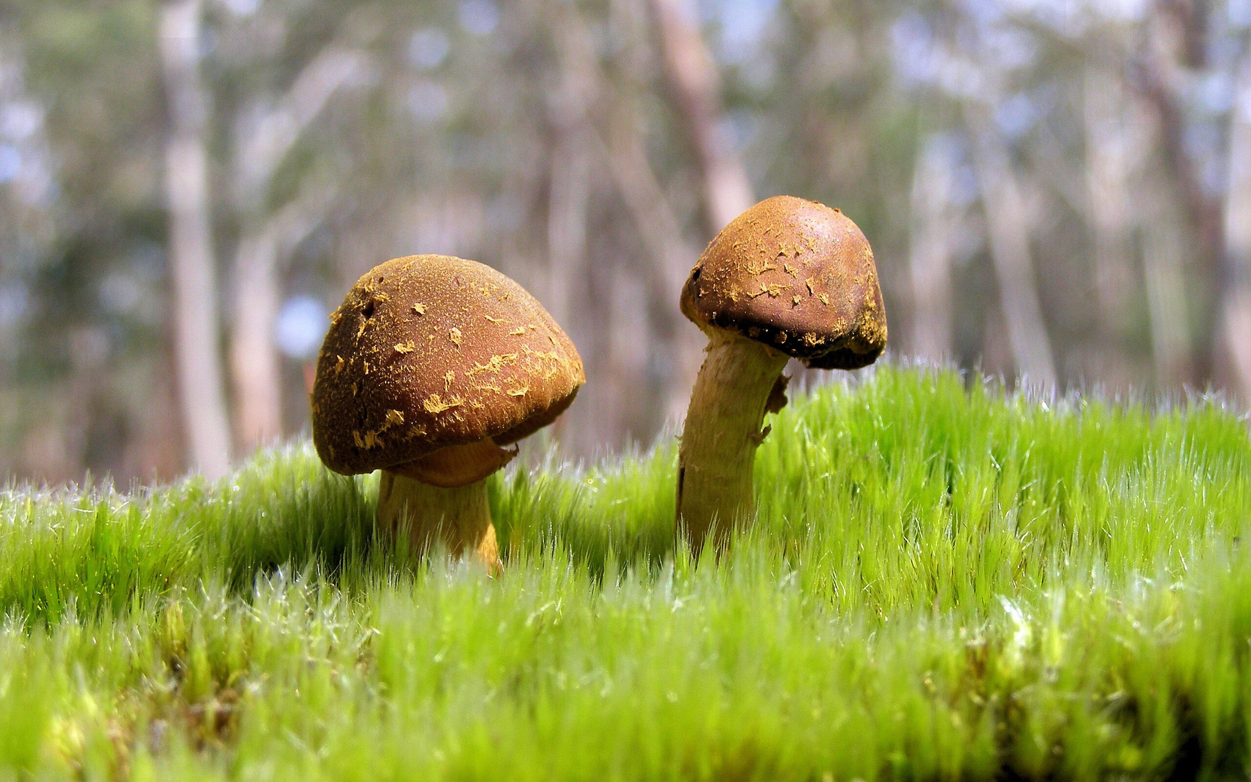 体育新闻中心主办体育文化数字传播创新成果展，体育数字化改革方案