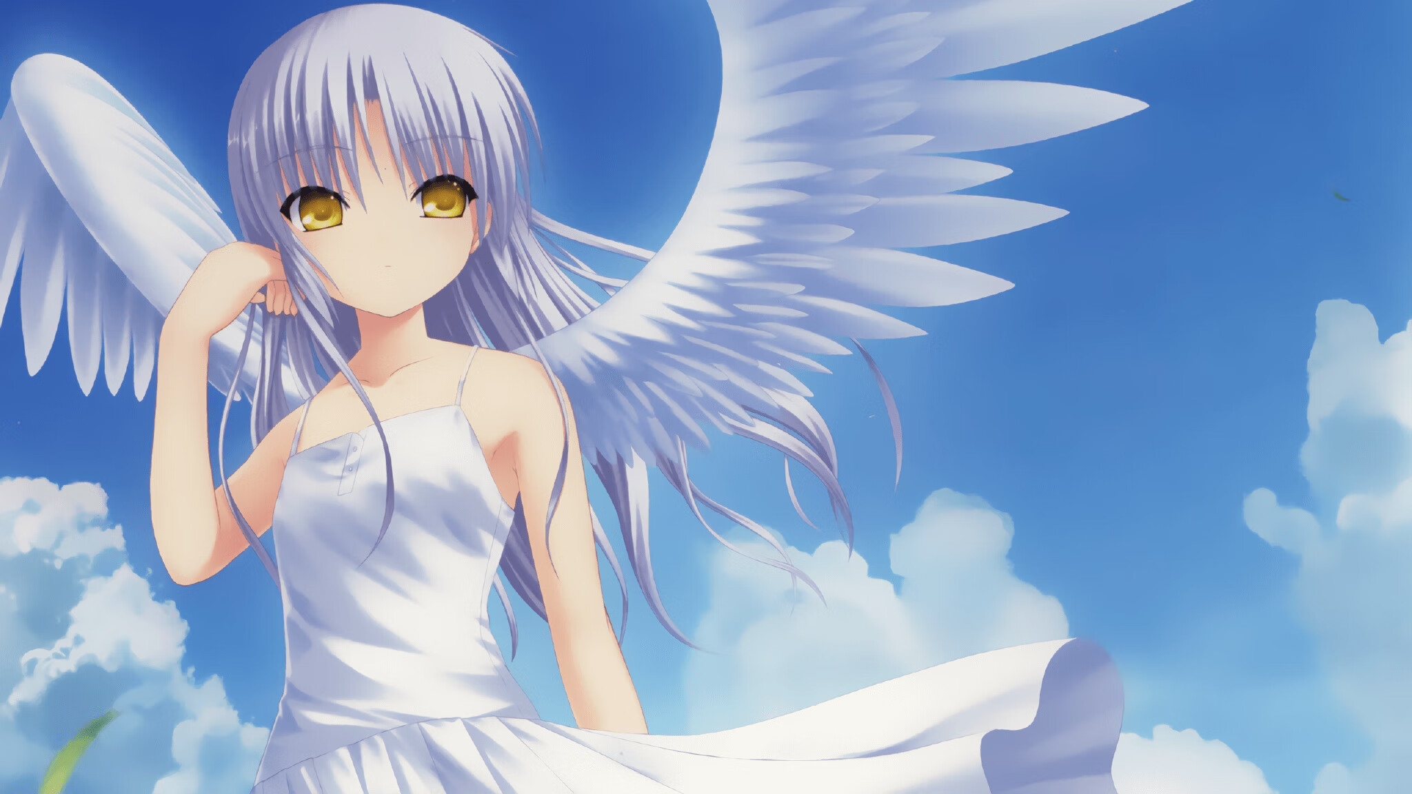 Kysports-体育新闻中心建设体育舆情监测分析平台，体育新闻专题报道